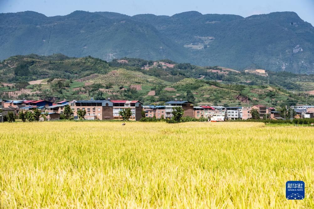 奥门太阳成集团网址